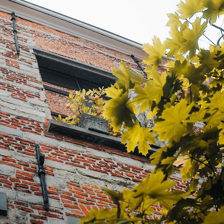 Duplex In Historical Centre With Private Courtyard Leilighet Antwerpen Eksteriør bilde