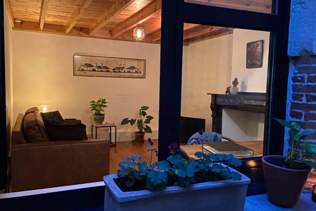 Duplex In Historical Centre With Private Courtyard Leilighet Antwerpen Eksteriør bilde