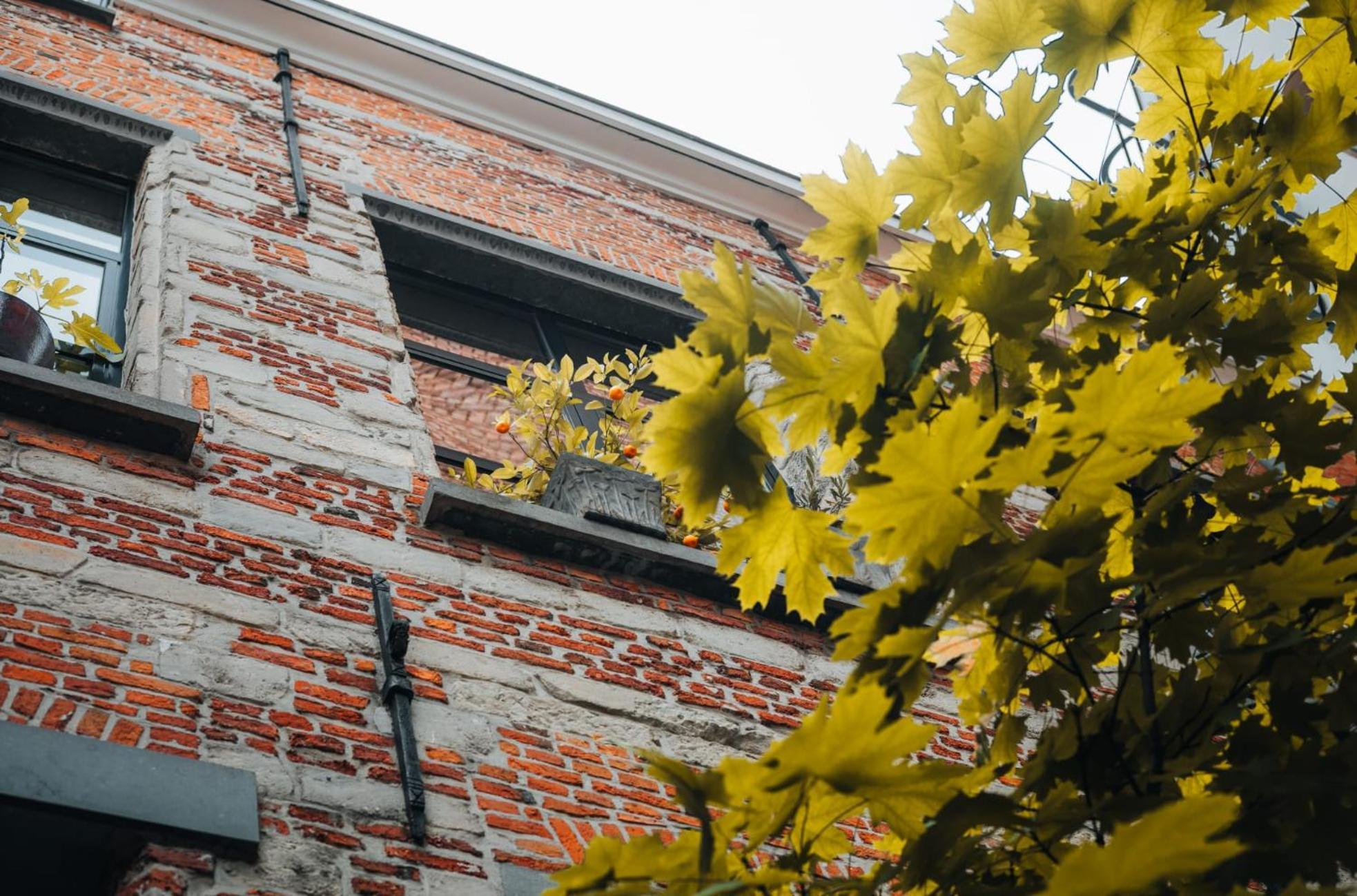 Duplex In Historical Centre With Private Courtyard Leilighet Antwerpen Eksteriør bilde